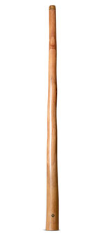 Wix Stix Didgeridoo (WS419)
